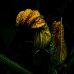 피부-관리