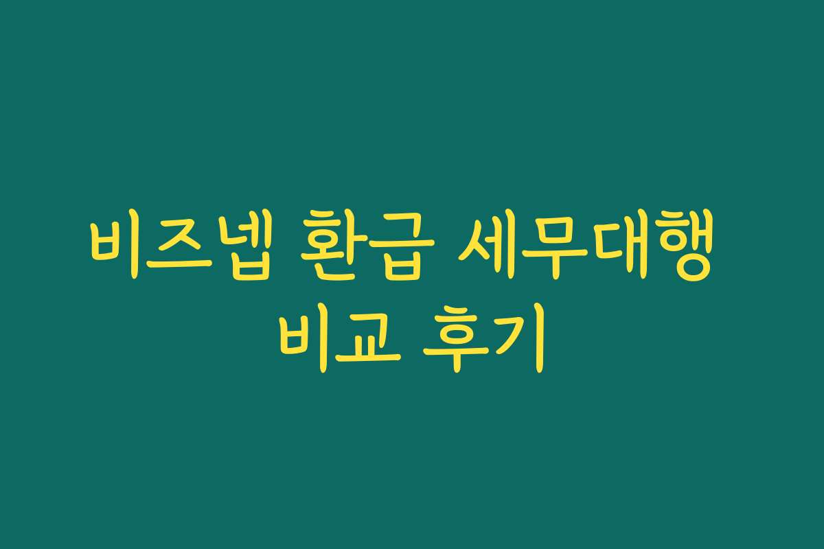 비즈넵 환급 세무대행 비교 후기 비즈넵 환급 세무대행 비교 후기
