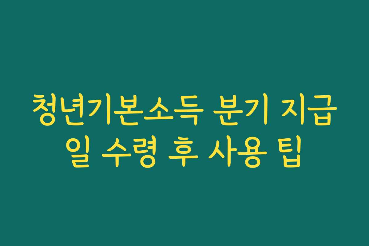 청년기본소득 분기 지급일 수령 후 사용 팁