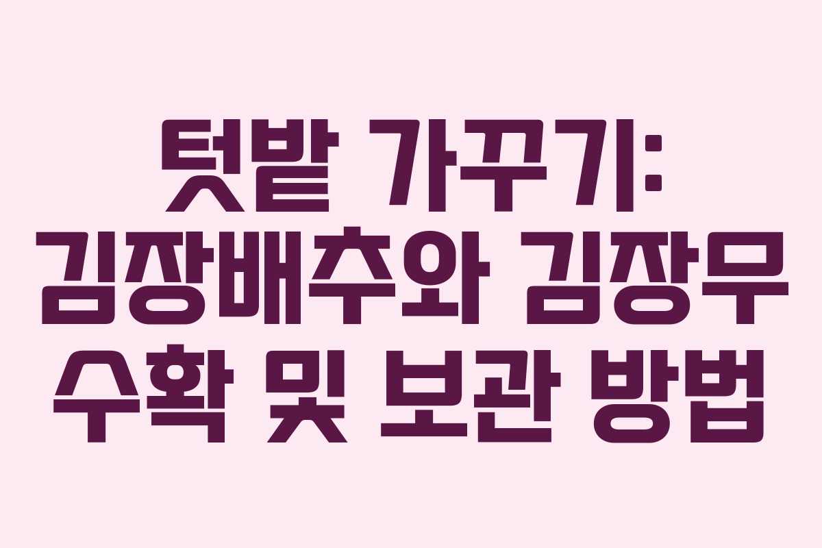 텃밭 가꾸기: 김장배추와 김장무 수확 및 보관 방법 텃밭 가꾸기: 김장배추와 김장무 수확 및 보관 방법