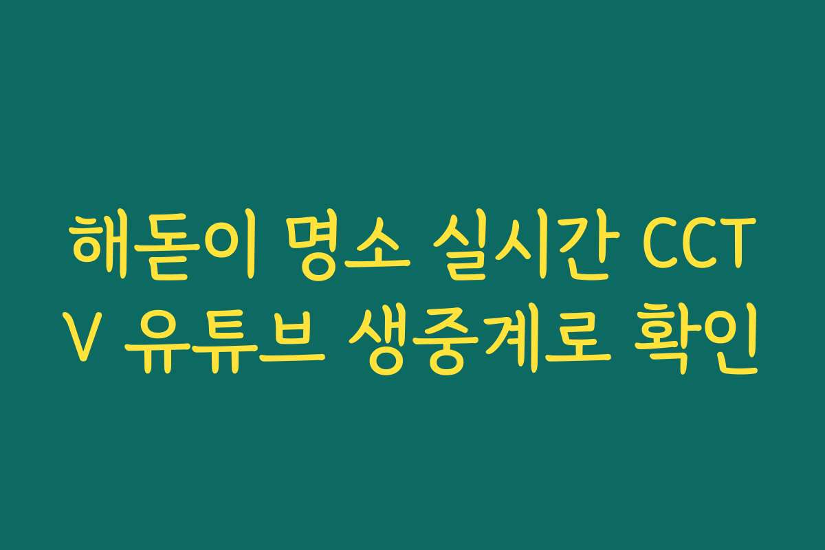 해돋이 명소 실시간 CCTV 유튜브 생중계로 확인