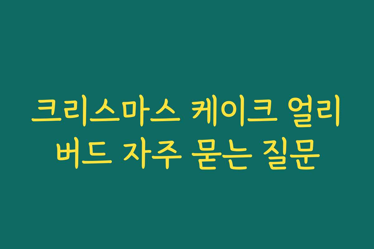 크리스마스 케이크 얼리버드 자주 묻는 질문