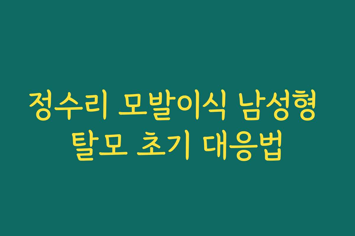 정수리 모발이식 남성형 탈모 초기 대응법