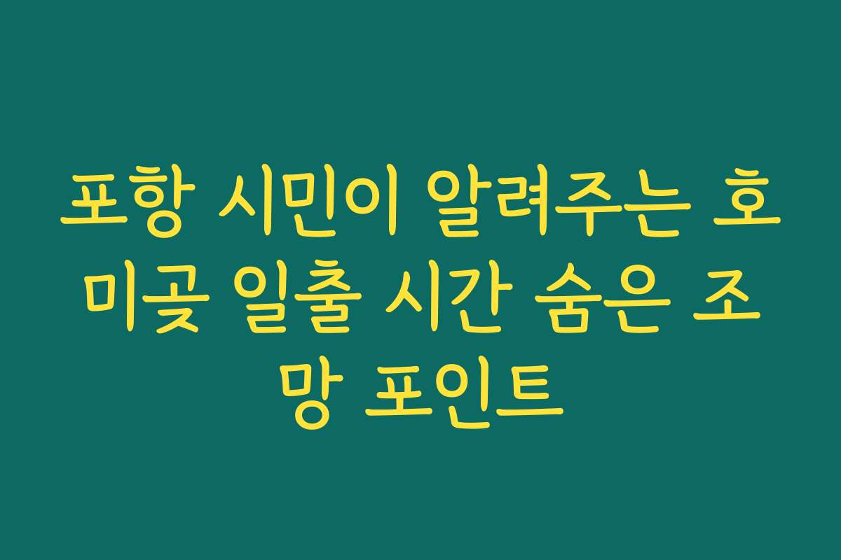 포항 시민이 알려주는 호미곶 일출 시간 숨은 조망 포인트