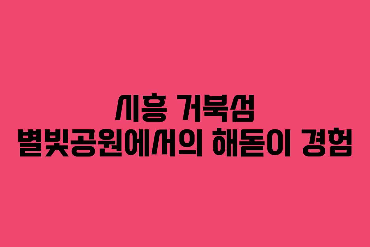 시흥 거북섬 별빛공원에서의 해돋이 경험