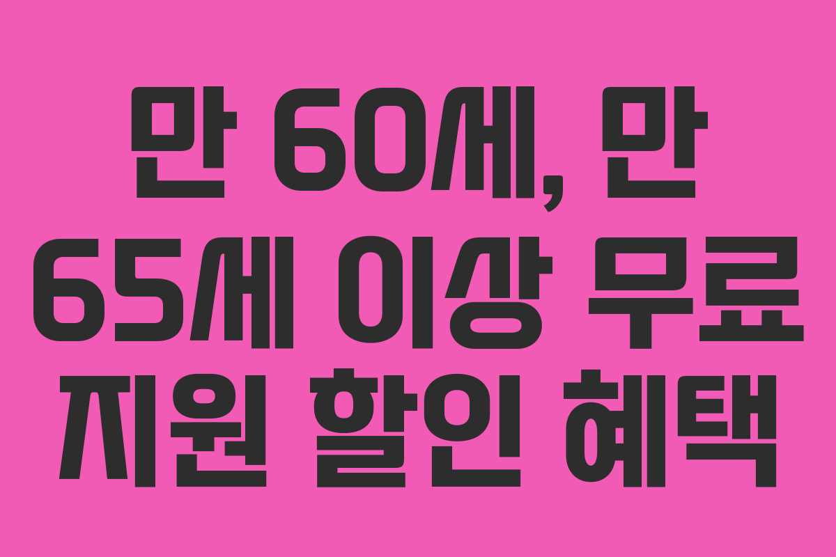 만 60세, 만 65세 이상 무료 지원 할인 혜택