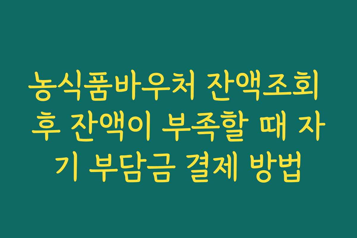 농식품바우처 잔액조회 후 잔액이 부족할 때 자기 부담금 결제 방법