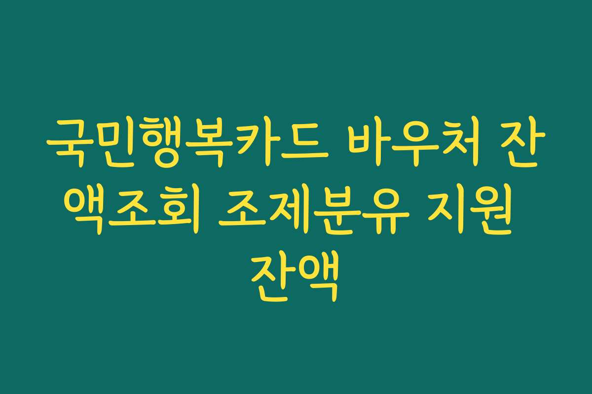 국민행복카드 바우처 잔액조회 조제분유 지원 잔액