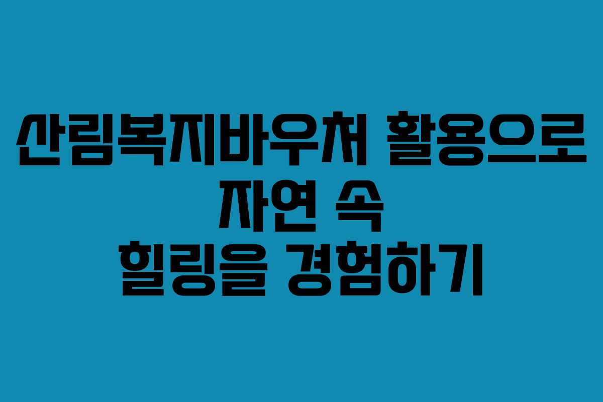 산림복지바우처 활용으로 자연 속 힐링을 경험하기